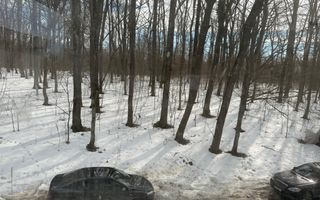 Vilă de Lux cu Piscină Privată și Deschidere Directă la Lacul Snagov - Poză 24