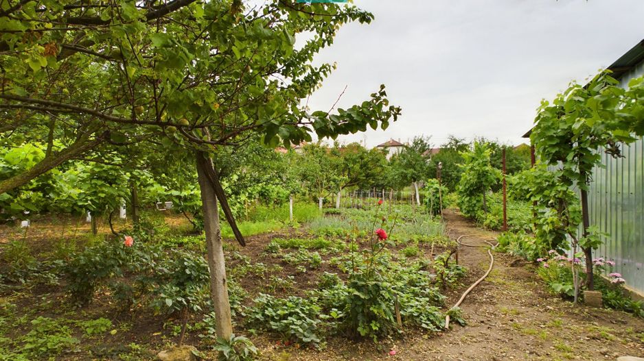 Casă ideală pentru o familie numeroasă, Sântana - Poză 16