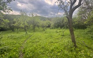 TEREN INTRAVILAN 7018 MP CAMPULUNG - Poză 11