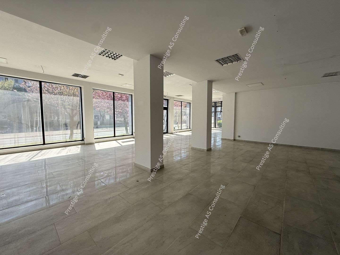Spatiu comercial 485 mp | Stradal | ISU | 3 intrari | L Rebreanu - Poză 8