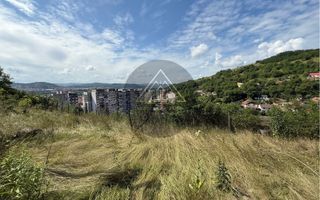 Teren Wewern, Medias - Poză 2