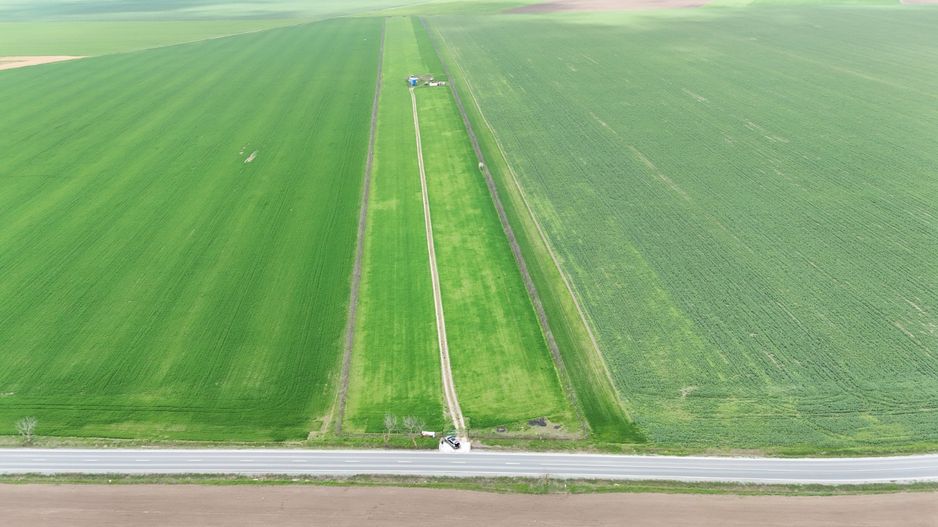 Teren de vanzare in Săcele ideal pentru silozuri, fermă 6 ha - Poză 8