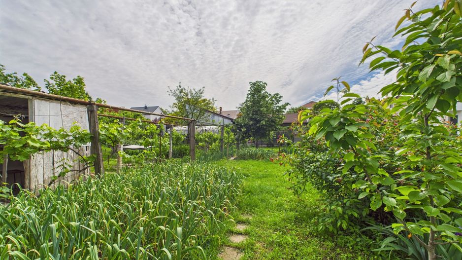 Casă individuală în zona Lipovei- Venue - Poză 12