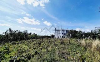 Vanzare vila Rediu - Poză 2