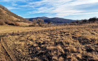 Teren 46.300 mp-zona Gușterița!! - Poză 1