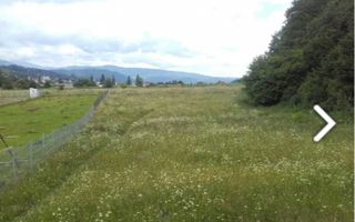 TEREM INTRAVILAN 2974 MP CAMPULUNG - Poză 4