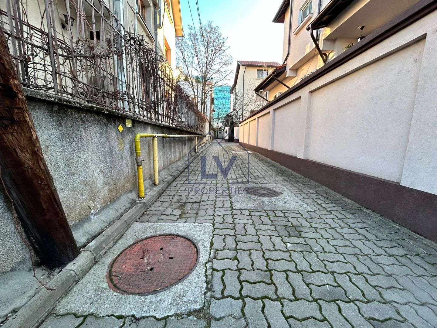 VANZARE VILA 7 CAMERE P+M | ZONA HERASTRAU - Poză 3