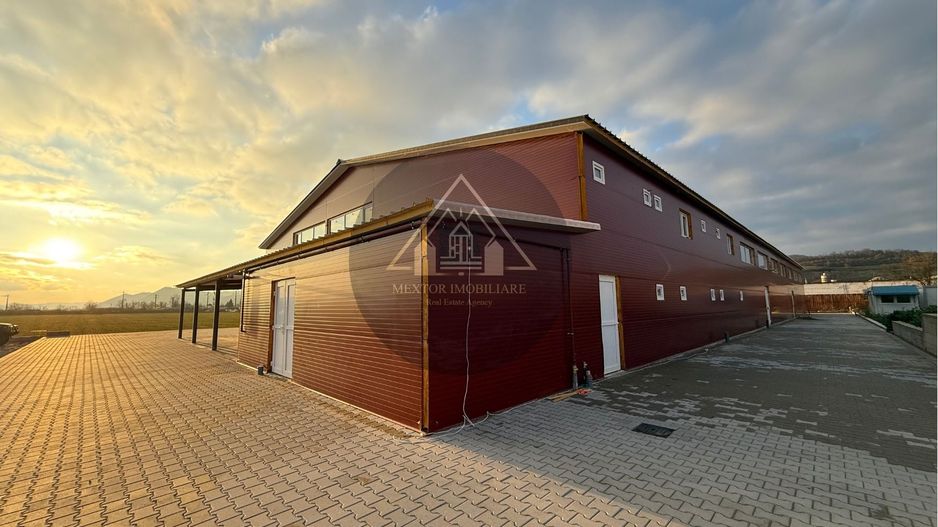 Hală de inchiriat, Medias - Poză 3