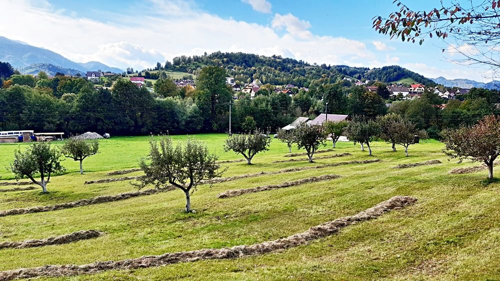 Teren superb de 16240mp, parcelabil, in Bran la intrare in Moeciu de Jos - Poză 13