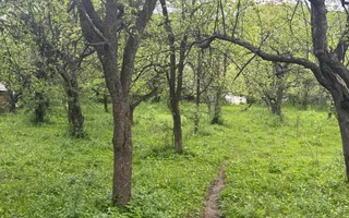 TEREN INTRAVILAN 7018 MP CAMPULUNG - Poză 32