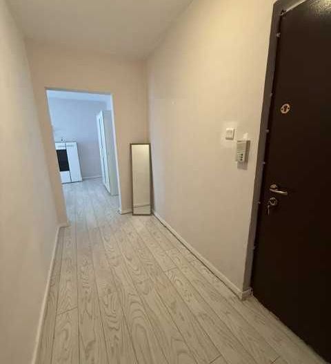 Bd Coposu( Pirvan) Apartament 1 camera - Poză 7
