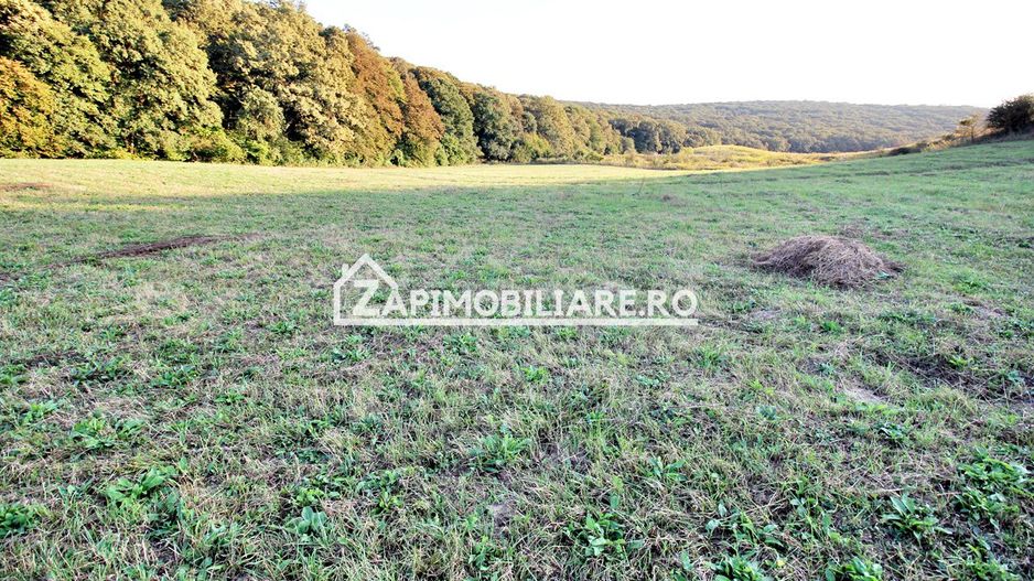 De vanzare 2 terenuri de 29.500 mp si 1.400 mp.29 euro mp - Poză 9