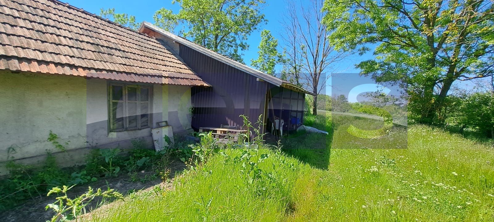 CASA TARANEASCA | TEREN 3000 MP | DESCHIDERE 52 M | COMUNA CIOLANESTI - Poză 5