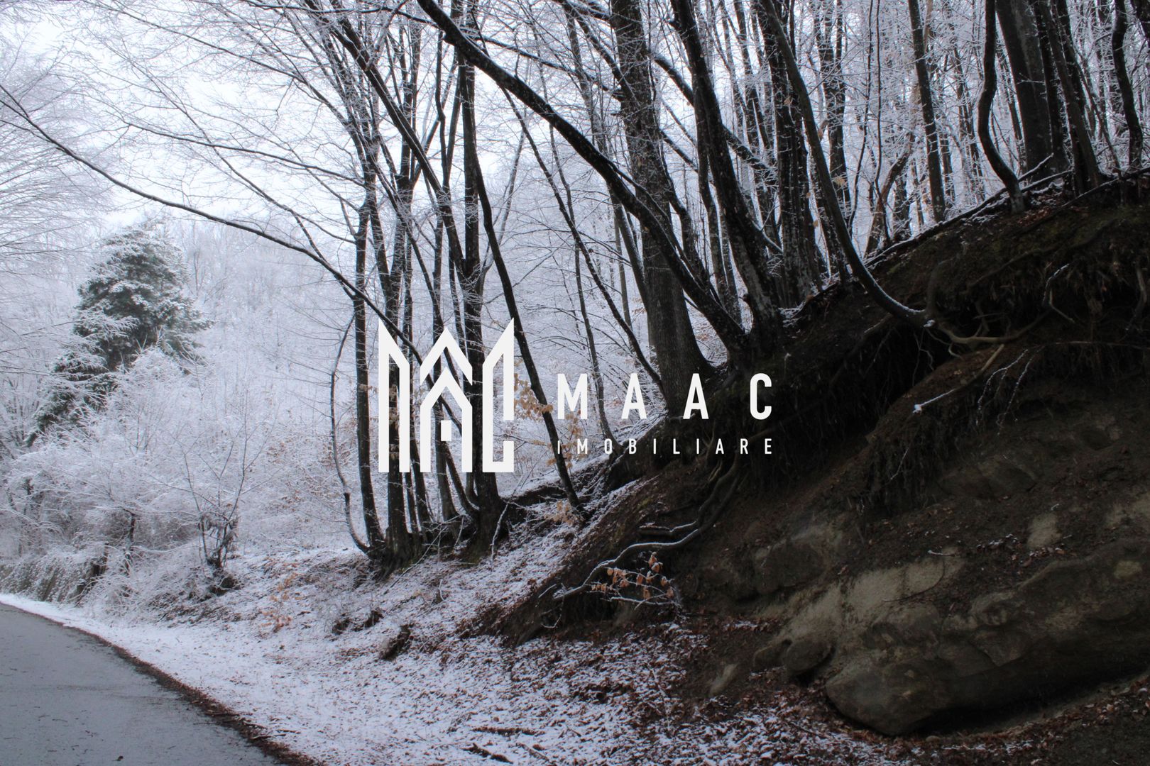 Teren cu izvor de apă minerală  Dangești, Punctul Valea Mare - Poză 20