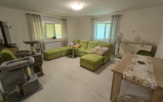 Casa 5 Camere, Zona Alba Micesti,  660 mp Teren - Poză 39