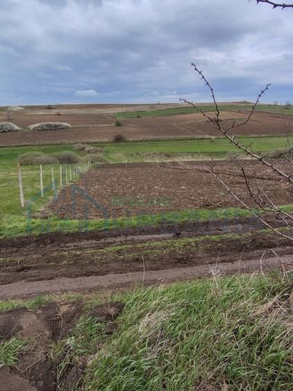 Teren de vânzare în Proselnici, comuna Miroslava – 900 mp, extravilan propus pentru introducere în intravilan - Poză 3