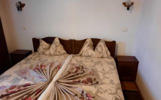 Pensiune in Muntii Apuseni 10 camere 1007 mp teren - Poză 9