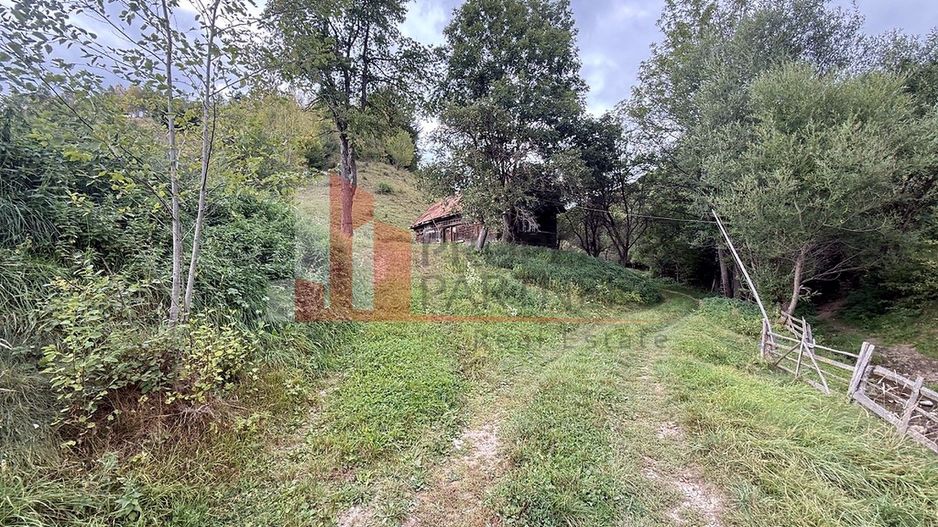 Teren de investiție în Moieciu, lângă Castelul Bran – 11.381 mp, vedere Bucegi - Poză 7