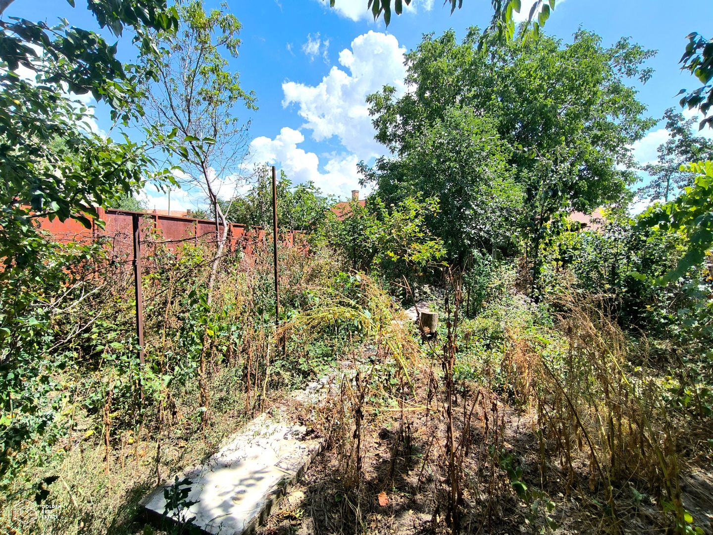 Casă individuală de închiriat, zonă centrală pentru firme - Poză 14