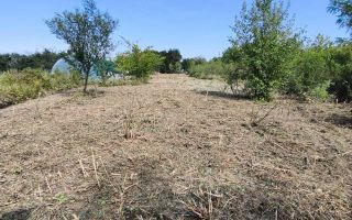 Teren 5.800 mp Timișoara Ghiroda - Poză 1