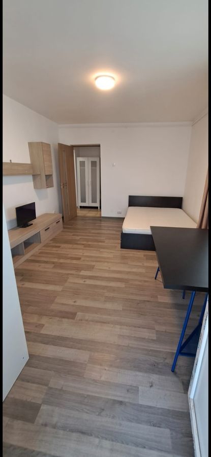 Garsoniera spatioasa Vitan, pet friendly, renovata, AC, mobilata complet - Poză 4