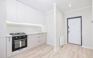 Vânzare, apartament, 1 cameră, strada Băcioii Noi, Botanica - Poză 2