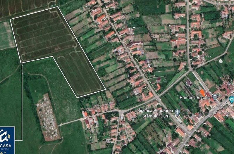 De vanzare teren agricol potential investitie, Pischia Jud. Timis - Poză 2