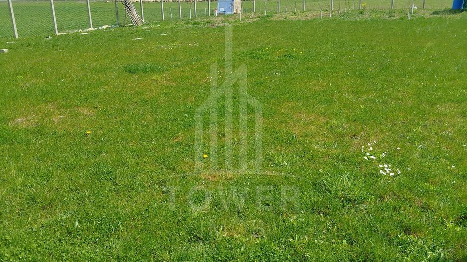 Grădină 862 mp cu cabanuta și pomi fructiferi – între Tălmaciu și Sadu - Poză 3