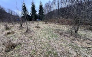 Teren intravilan 6.500 m²–Deschidere 144 ml drum european E81, km 35, Morăresti - Poză 1