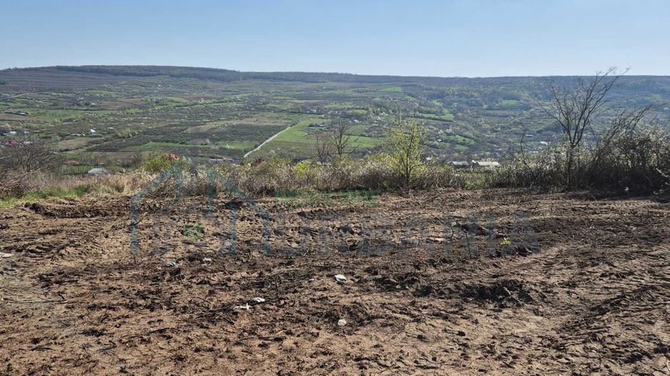 Teren intravilan de vânzare în comuna Tomesti - Poză 6