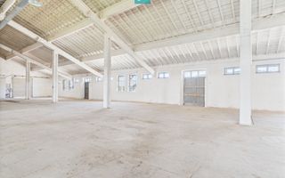 Hale 1800 mp fiecare – acces autostradă, Teiu, HD - Poză 5