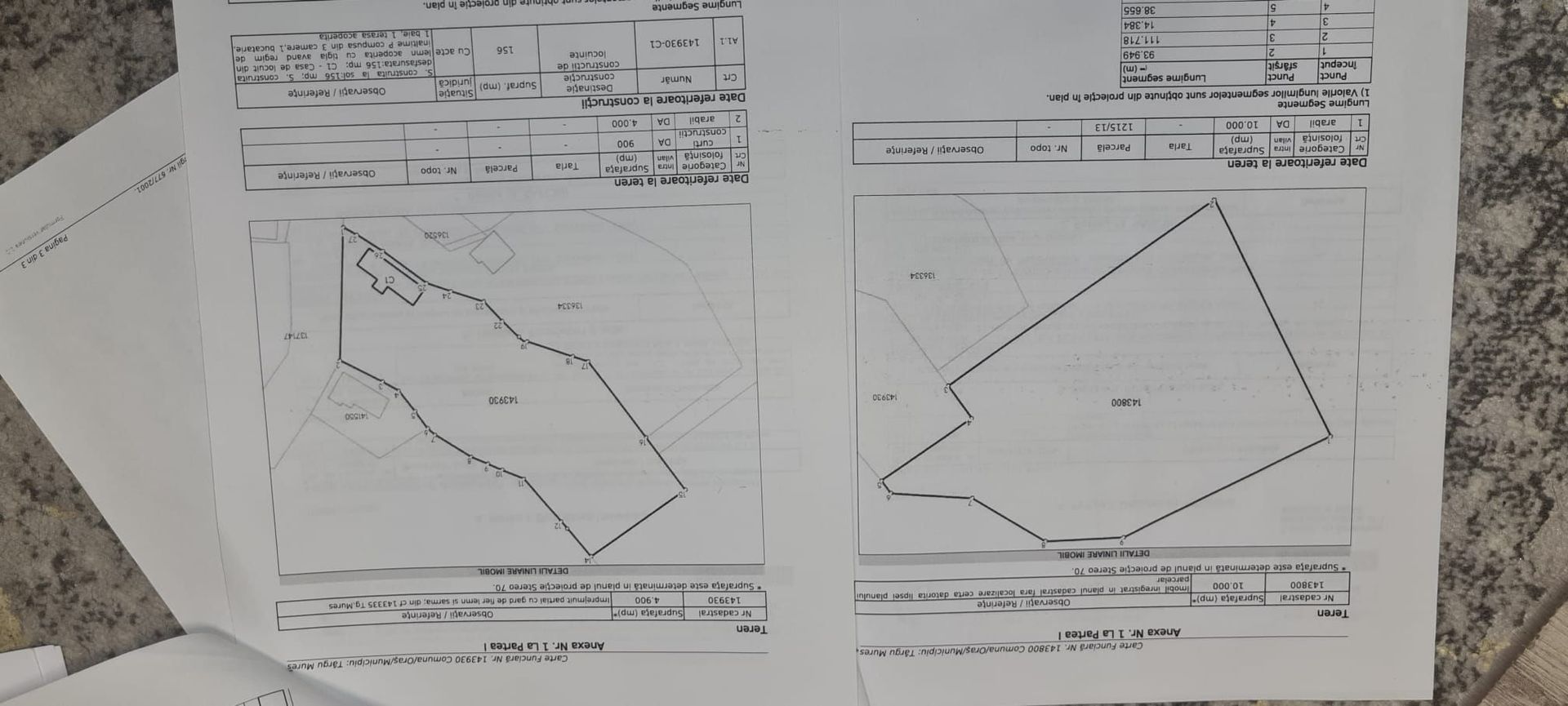 Teren intravilan 15.000 mp+casa 150mpTargu Mures,45 euro mp. - Poză 6