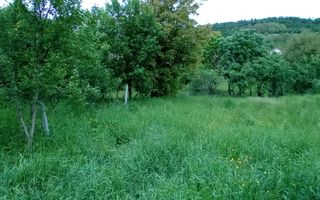 Teren intravilan | Budiu Mic | 994 mp - Poză 1