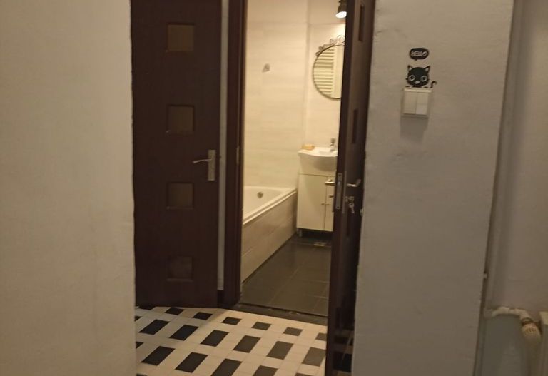 De vanzare Apartament 4 Camere in Vila, Cismigiu - Poză 13