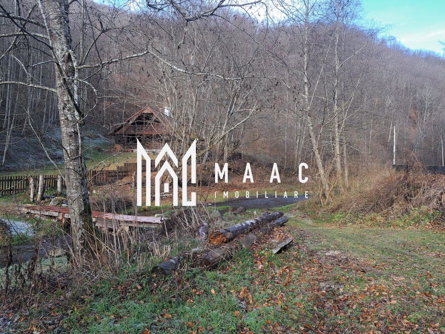 Paradis pe Transalpina in Sugag - Poză 28