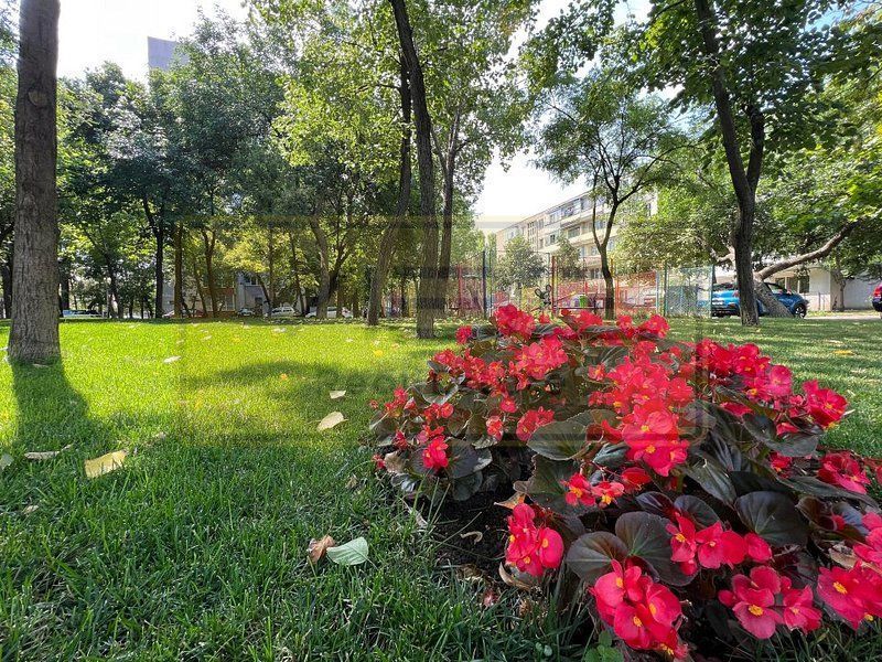 Apartament 2 camere Podu Ros 10 min Centru - Poză 1