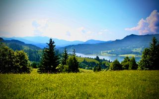 Terenuri de vanzare Colibita - 10 parcele - Poză 11
