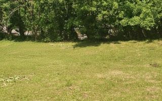 Urgent Teren și Casă Bătrânească - Poză 2