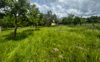 TEREN INTRAVILAN 4600 MP, VOINESTI, LERESTI, ARGEȘ - Poză 12