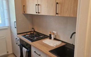 Inchiriere apartament 2 camere in HIls Brauner Pallady - Poză 5