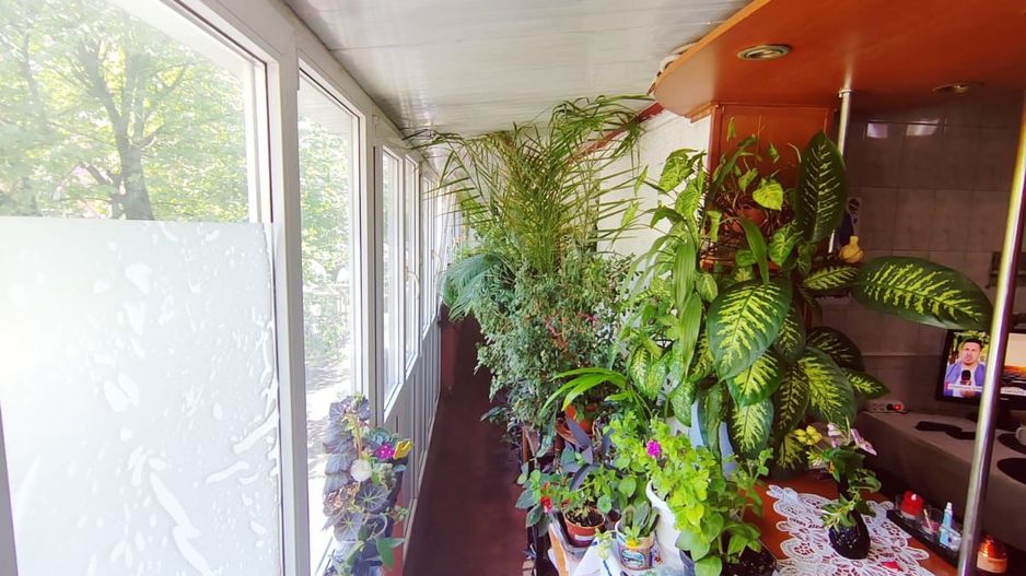 Domenii Ion Mihalache stradal super pret - Poză 2