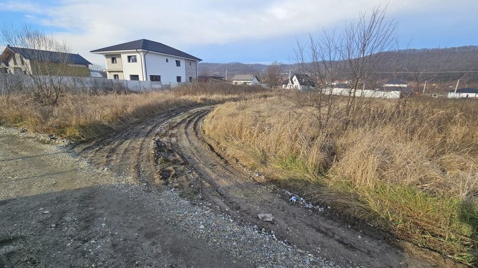 Teren 1.250 mp, toate utilitatile – Bascov, Valea Ursului, AG - Poză 4