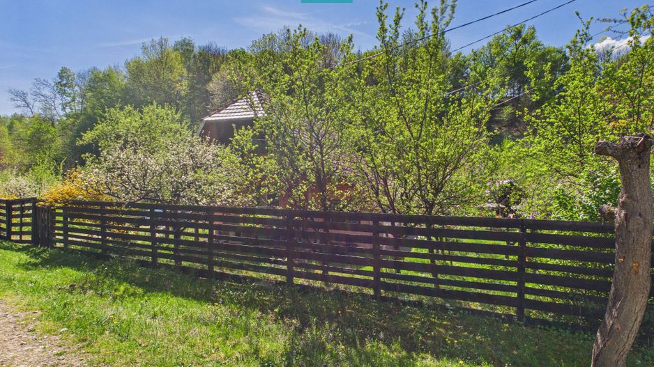 Casă Câmpani, 8000 mp teren, la poalele Apusenilor - Poză 16