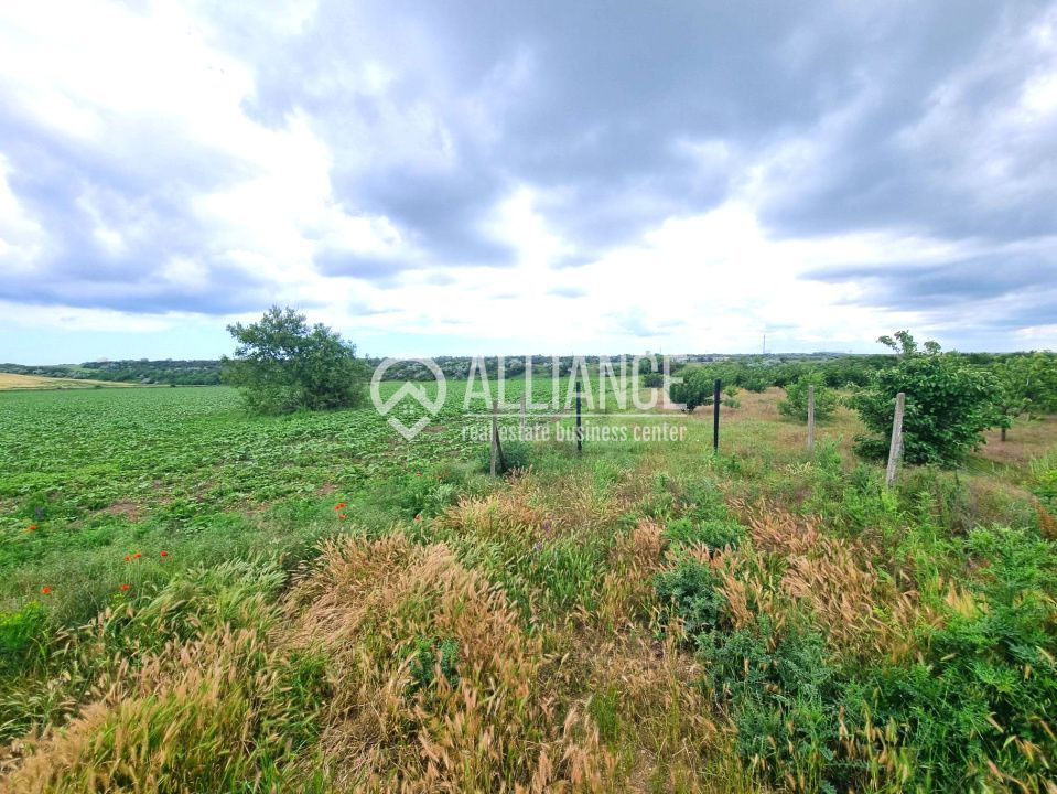 OVIDIU (COD 02)  - teren extravilan 4000 mp - Poză 5