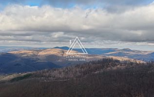 19.5 Hectare în Zona Turistică Montană – Bulz, Bihor