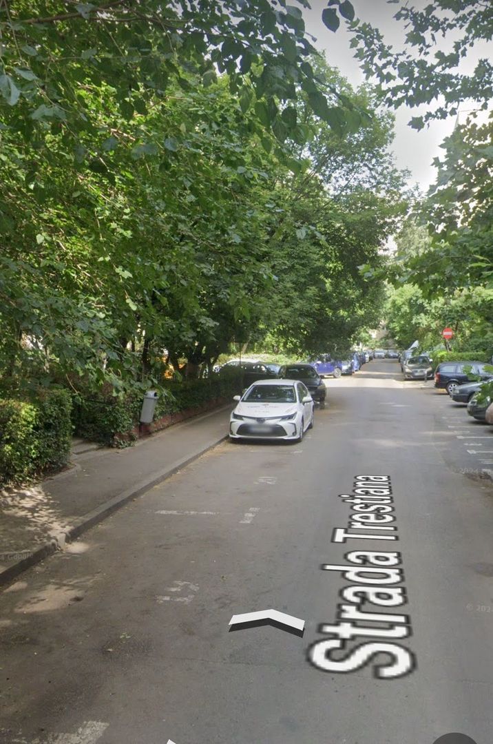 Apartament 3 camere Parc Tineretului, Zona Trestiana. La 4 min de metrou, - Poză 1