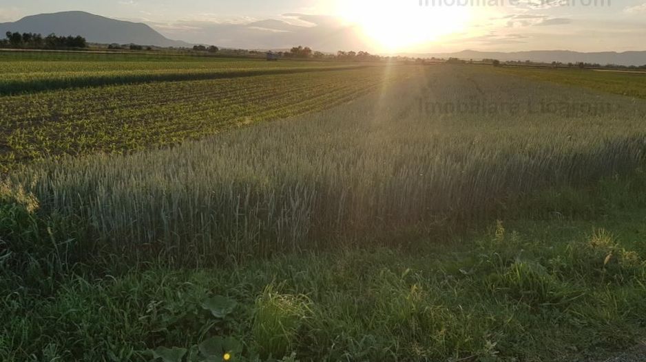 Teren Stupini Calea Feldioarei 4600 mp,22 euro/mp, front la asfalt - Poză 2