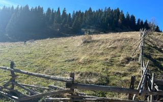 Teren Fundatica intravilan 4500 mp - Poză 11