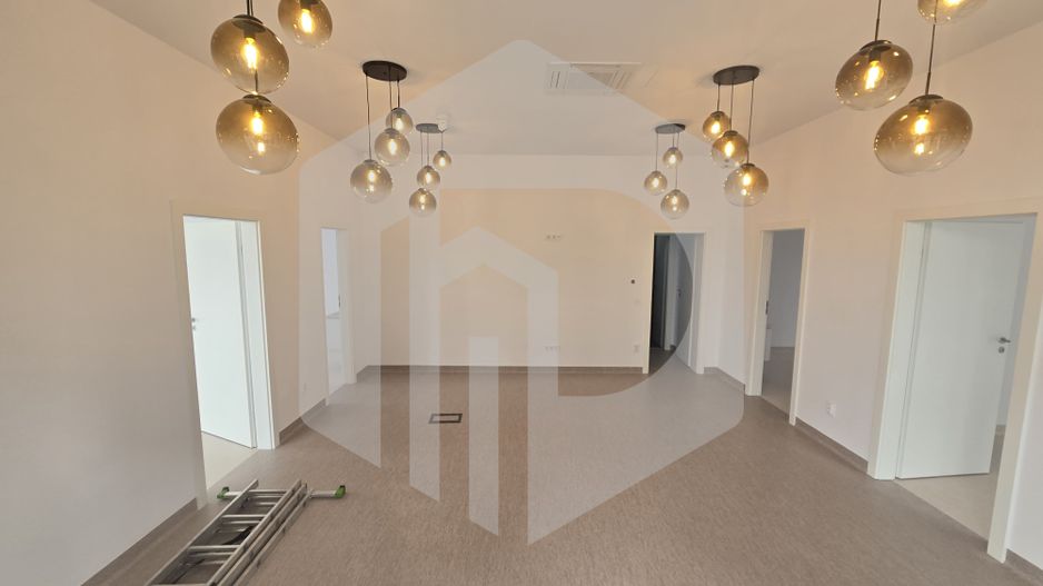 Spatiu comercial 125 mp 6 locuri parcare Doamna Stanca - Poză 1