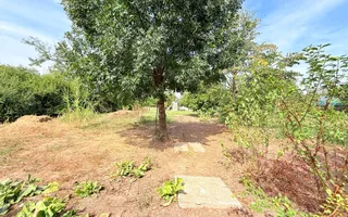 Casă de vânzare | 5 camere | Teren 1.200 mp | Foisor | Ciorogârla - Poză 22